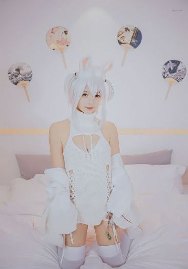 泰格伍兹-电影全集日本电影在线